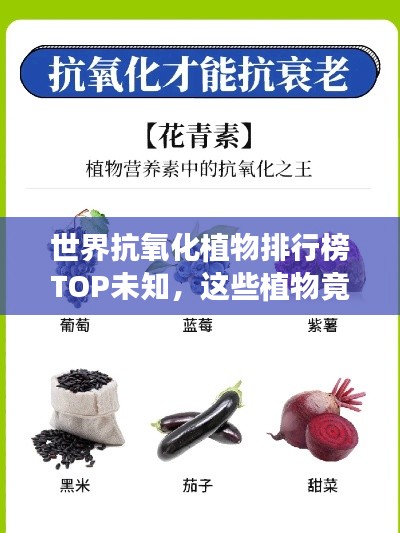 世界抗氧化植物排行榜TOP未知，這些植物竟能抵抗衰老！