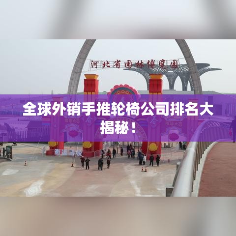 全球外銷手推輪椅公司排名大揭秘！