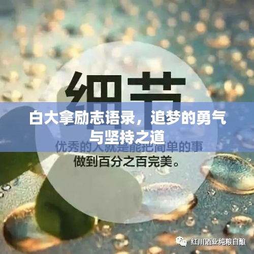 白大拿勵志語錄，追夢的勇氣與堅持之道