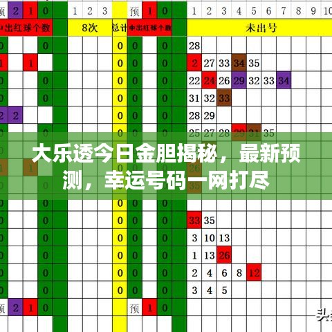 大樂透今日金膽揭秘，最新預測，幸運號碼一網打盡