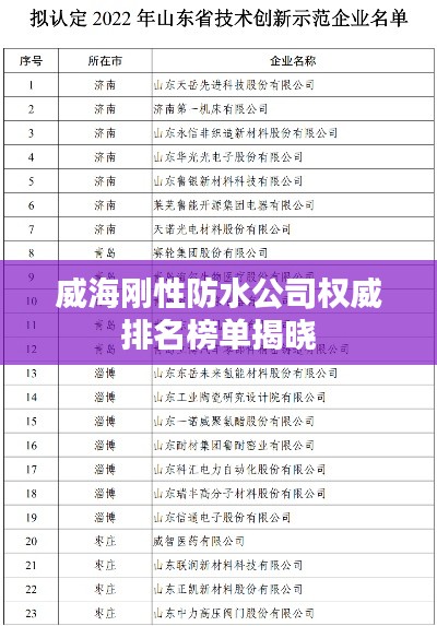 威海剛性防水公司權威排名榜單揭曉