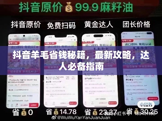 抖音羊毛省錢秘籍，最新攻略，達(dá)人必備指南