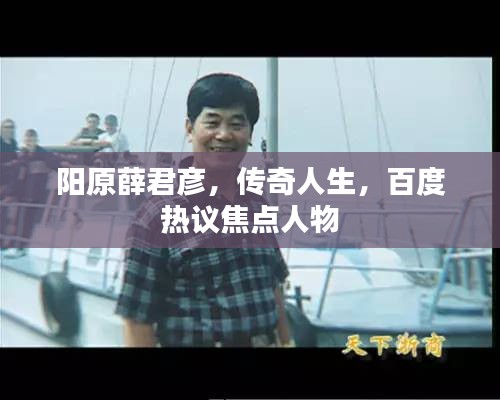 陽原薛君彥，傳奇人生，百度熱議焦點人物