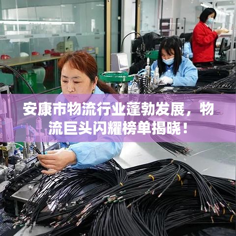 安康市物流行業(yè)蓬勃發(fā)展，物流巨頭閃耀榜單揭曉！
