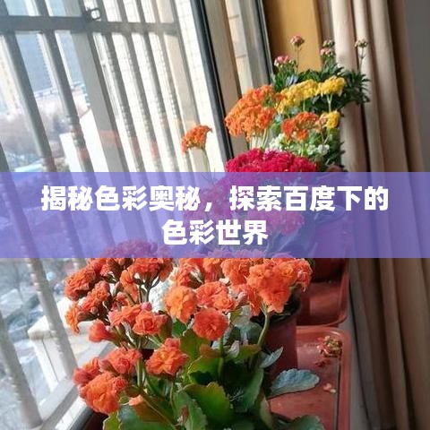 揭秘色彩奧秘，探索百度下的色彩世界