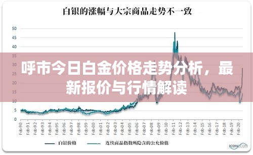 呼市今日白金價格走勢分析，最新報價與行情解讀