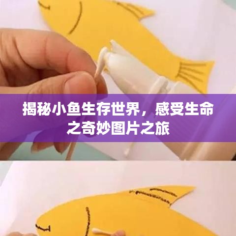 揭秘小魚生存世界，感受生命之奇妙圖片之旅