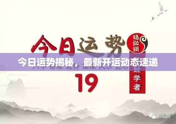 今日運勢揭秘，最新開運動態速遞