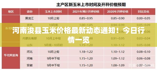河南浚縣玉米價格最新動態通知！今日行情一覽