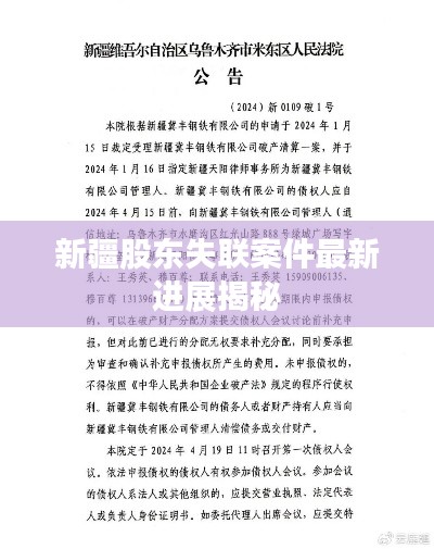 新疆股東失聯案件最新進展揭秘