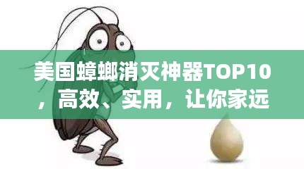 美國蟑螂消滅神器TOP10，高效、實用，讓你家遠離小強侵擾！