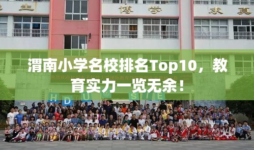 渭南小學(xué)名校排名Top10，教育實(shí)力一覽無余！