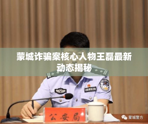 蒙城詐騙案核心人物王磊最新動態揭秘