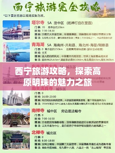 西寧旅游攻略，探索高原明珠的魅力之旅