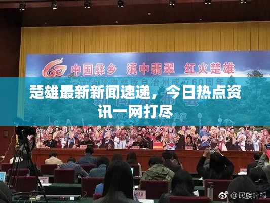 楚雄最新新聞速遞，今日熱點資訊一網打盡