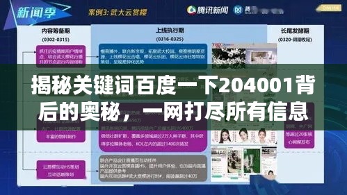 揭秘關(guān)鍵詞百度一下204001背后的奧秘，一網(wǎng)打盡所有信息！
