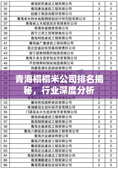 青海榻榻米公司排名揭秘，行業深度分析