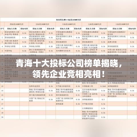 青海十大投標公司榜單揭曉，領先企業競相亮相！