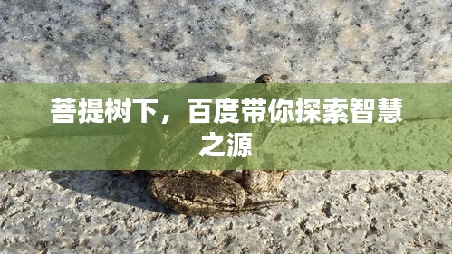 菩提樹下，百度帶你探索智慧之源