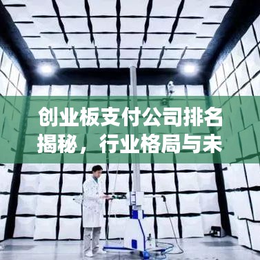 創業板支付公司排名揭秘，行業格局與未來趨勢展望