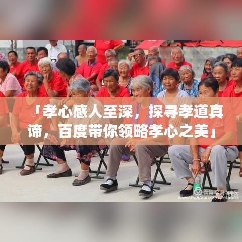 「孝心感人至深，探尋孝道真諦，百度帶你領略孝心之美」