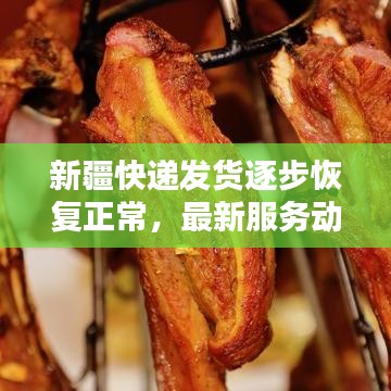 新疆快遞發(fā)貨逐步恢復正常，最新服務動態(tài)更新