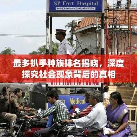 最多扒手種族排名揭曉，深度探究社會現象背后的真相