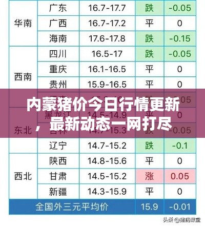 內蒙豬價今日行情更新，最新動態一網打盡