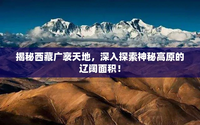 揭秘西藏廣袤天地，深入探索神秘高原的遼闊面積！