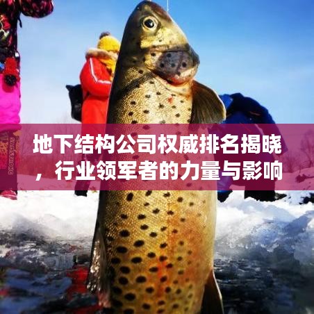地下結(jié)構(gòu)公司權(quán)威排名揭曉，行業(yè)領(lǐng)軍者的力量與影響力榜單！