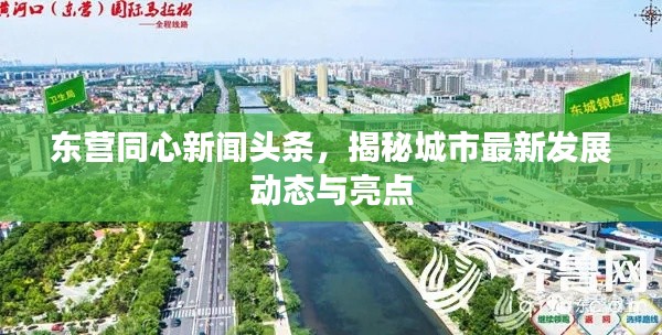 東營同心新聞頭條，揭秘城市最新發展動態與亮點