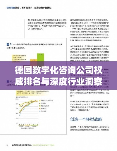 德國數(shù)字化咨詢公司權(quán)威排名與深度行業(yè)洞察揭秘