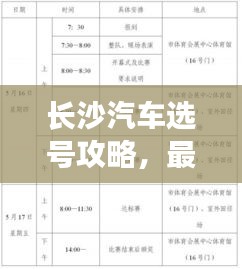 長(zhǎng)沙汽車選號(hào)攻略，最新指南助你輕松選號(hào)！