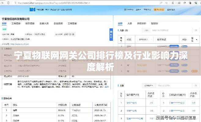 寧夏物聯網網關公司排行榜及行業影響力深度解析