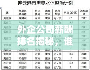 外企公司薪酬排名揭秘，誰坐薪酬之巔？