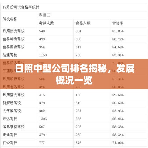 日照中型公司排名揭秘，發展概況一覽