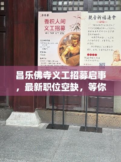 昌樂佛寺義工招募啟事，最新職位空缺，等你來加入！