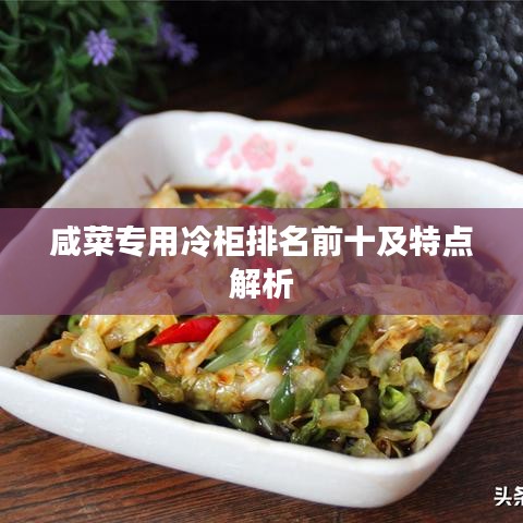 咸菜專用冷柜排名前十及特點(diǎn)解析