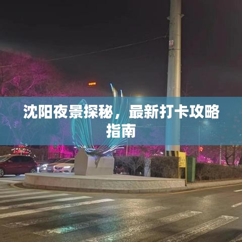 沈陽(yáng)夜景探秘，最新打卡攻略指南