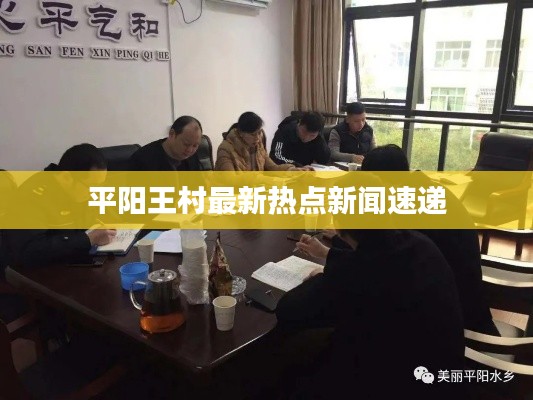 平陽王村最新熱點新聞速遞