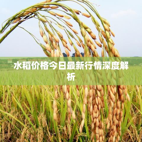 設備展示 第47頁