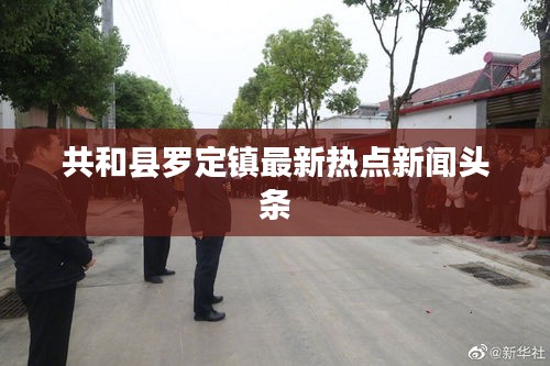 共和縣羅定鎮最新熱點新聞頭條