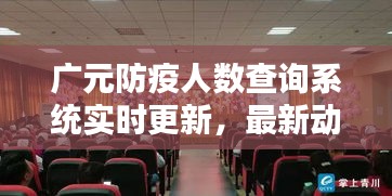 廣元防疫人數查詢系統實時更新，最新動態速覽