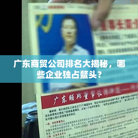 廣東商貿公司排名大揭秘，哪些企業獨占鰲頭？