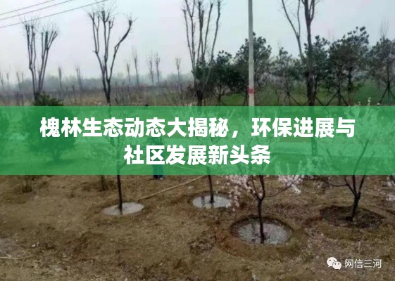 槐林生態動態大揭秘，環保進展與社區發展新頭條
