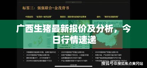 廣西生豬最新報價及分析，今日行情速遞
