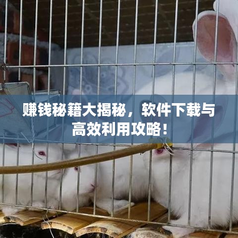 賺錢秘籍大揭秘，軟件下載與高效利用攻略！