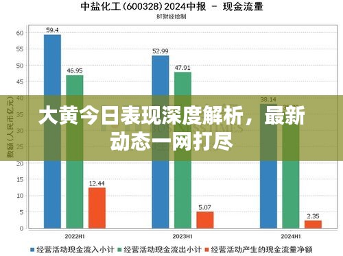 大黃今日表現深度解析，最新動態一網打盡