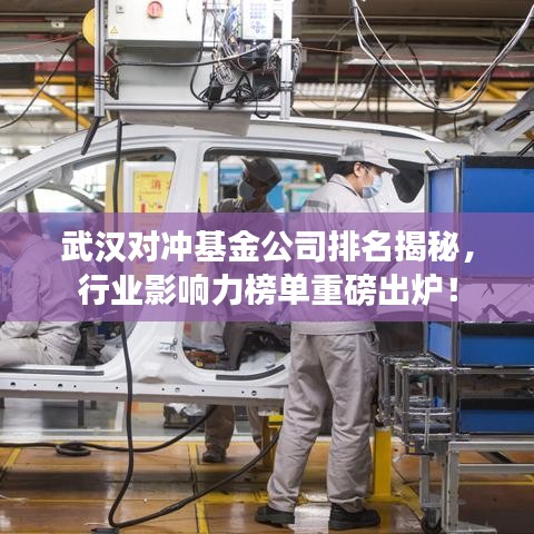 武漢對沖基金公司排名揭秘，行業(yè)影響力榜單重磅出爐！