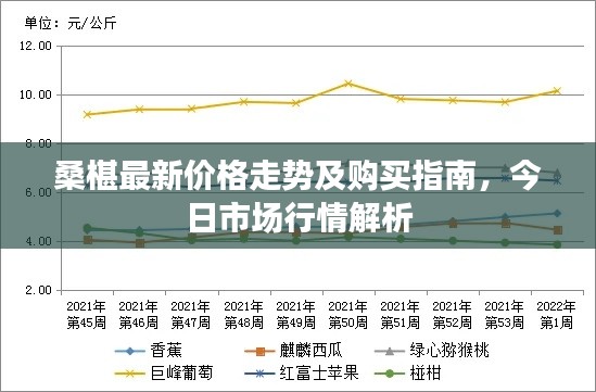 桑椹最新價格走勢及購買指南，今日市場行情解析